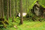 2014-07-05_Laengental-N-Hochweg (384). JPG